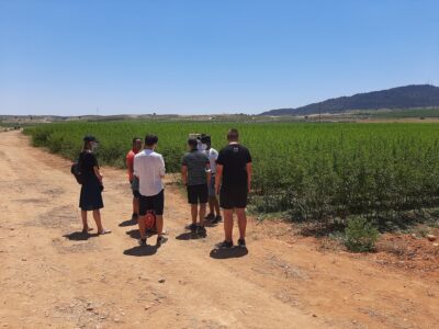 Almendros-Viveros-Monreal (2)