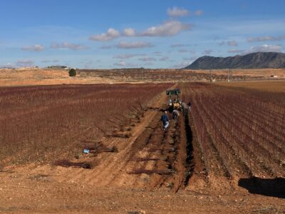 Almendros-Viveros-Monreal (8)
